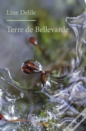 Capa do artigo Terre De Bellevarde