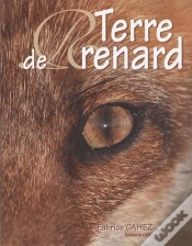 Capa do artigo Terre De Renard