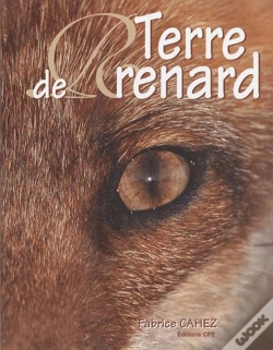Capa do artigo Terre De Renard