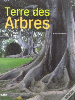Capa do artigo Terre Des Arbres