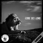 Capa do artigo Terre Des Lions