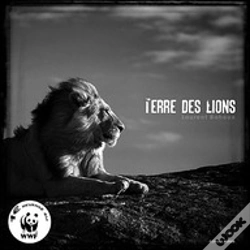 Capa do artigo Terre Des Lions