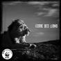 Terre Des Lions - Preview