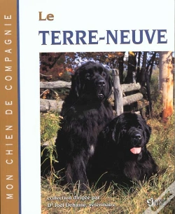 Capa do artigo Terre Neuve