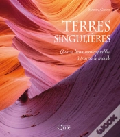 Capa do artigo Terres Singulières