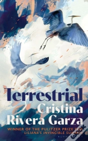 Capa do artigo Terrestrial