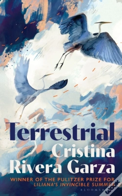 Capa do artigo Terrestrial