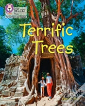 Capa do artigo Terrific Trees