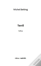 Capa do artigo Terril