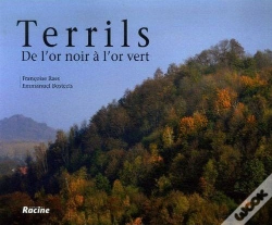 Capa do artigo Terrils