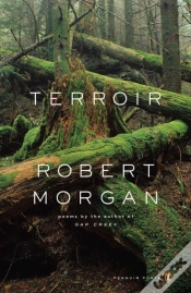 Capa do artigo Terroir