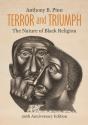 Terror And Triumph - Preview