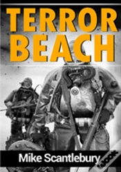 Capa do artigo Terror Beach