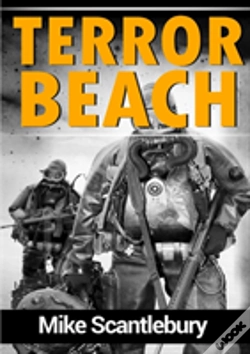 Capa do artigo Terror Beach