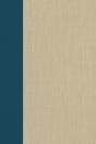 Terrorism Documents Of International And Local Control: Volume 88 - Preview