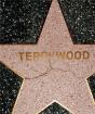 Terrywood - Preview