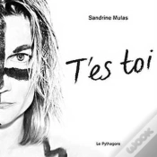Capa do artigo T