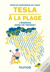 Tesla A La Plage - L'Energie Dans Un Transat