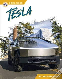 Capa do artigo Tesla