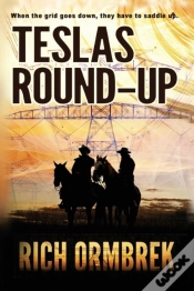 Capa do artigo Teslas Round Up