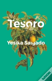 Capa do artigo Tesoro