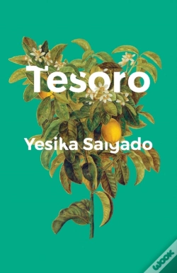 Capa do artigo Tesoro