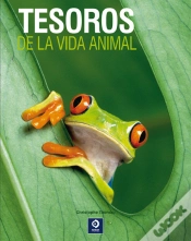 Capa do artigo Tesoros De La Vida Animal