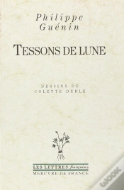 Capa do artigo Tessons De Lune