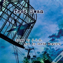 Capa do artigo Test Swan