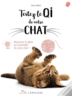 Capa do artigo Testez Le Qi De Votre Chat