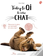 Testez Le Qi De Votre Chat