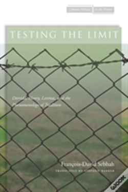 Capa do artigo Testing The Limit