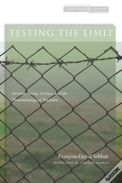 Capa do artigo Testing The Limit
