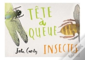 Capa do artigo Tete-A-Queue - Insectes