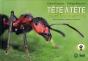 Tête-À-Tête Avec Les Insectes - Preview