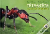 Tête-À-Tête Avec Les Insectes