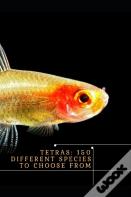 Tetras