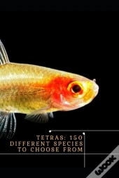 Tetras