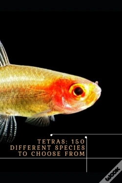 Capa do artigo Tetras