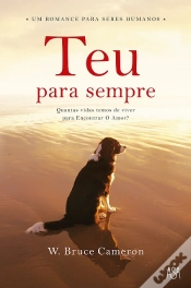 Capa do artigo Teu Para Sempre