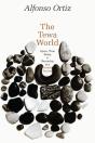 Tewa World - Preview