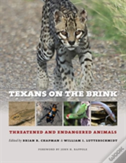 Capa do artigo Texans On The Brink