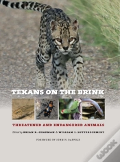 Capa do artigo Texans On The Brink