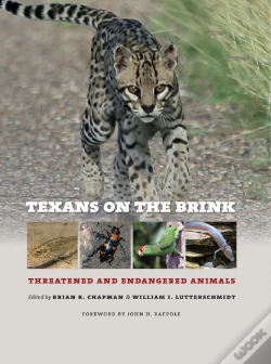 Capa do artigo Texans On The Brink