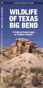 Texas Big Bend, Wildlife Of - Preview