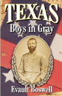 Texas Boys In Gray - Preview