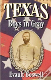Capa do artigo Texas Boys In Gray