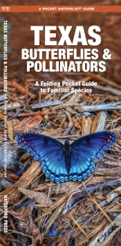 Capa do artigo Texas Butterflies & Pollinators