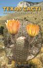 Texas Cacti - Preview