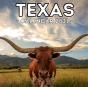 Texas Calendar 2021 - Preview